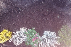 IMG_20201010_104701_400