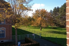 IMG_20201111_120331_251
