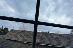 IMG_20201112_075622
