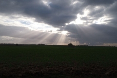 IMG_20201112_150333_292