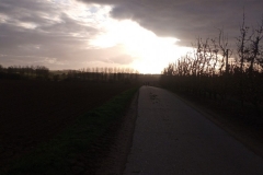 IMG_20201112_155134_827