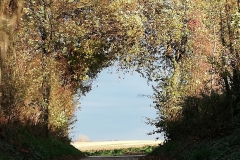 IMG_20201112_160840