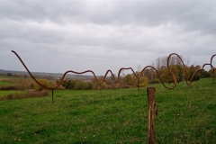 IMG_20201115_141856_360