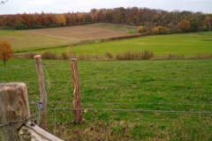 IMG_20201115_142003_284