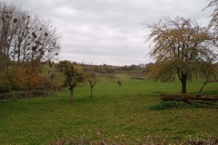 IMG_20201115_145621_382