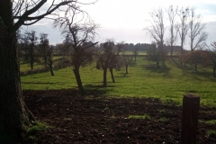 IMG_20201120_122114_207