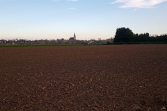 IMG_20201120_152454_674