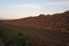 IMG_20201120_155705_045