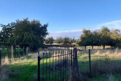 IMG-20201003-WA0008