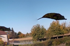 IMG_20201031_094726_259-PANO