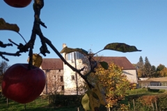IMG_20201031_094740_665
