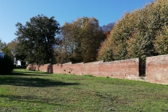IMG_20201031_133050
