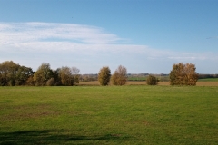 IMG_20201031_134032_471