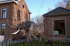 IMG_20201031_140734_834