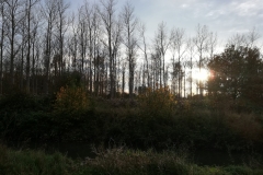 IMG_20201031_161415