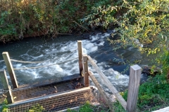 IMG_20201104_160858_794