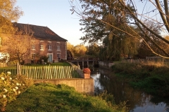 IMG_20201104_161119_204