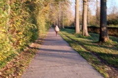 IMG_20201104_161756_574