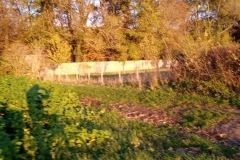 IMG_20201104_162402_172