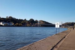 IMG_20201106_145532_263