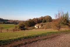 IMG_20201106_153713_885