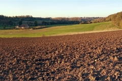IMG_20201106_162354_566-PANO