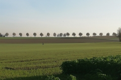 IMG_20201107_153633