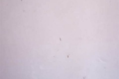 IMG_20200806_181917_236