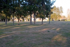 IMG_20200806_200959_530