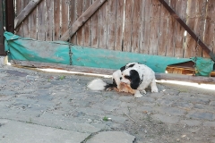 IMG_20200807_160713