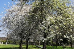 IMG_20210425_135245