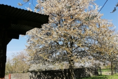 IMG_20210425_135257