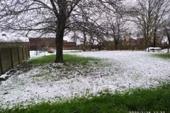 IMG_20200226_123756