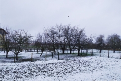 IMG_20200226_123830