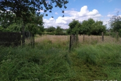 IMG_20200606_153845