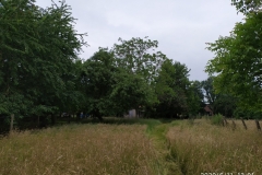 IMG_20200611_130136