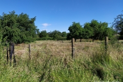 IMG_20200613_100137