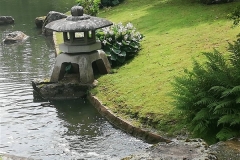 IMG_20210704_111224