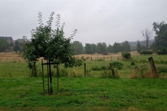 IMG_20200708_160804_193