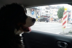 IMG_20200710_155311_183