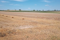 IMG-20200726-WA0009