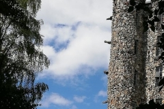 IMG-20200728-WA0013