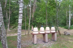 IMG_20200728_160208_9