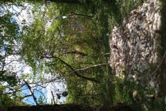 IMG_20200728_160303_8