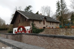 IMG_20210316_083128