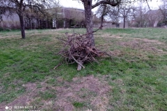 IMG_20210402_195431