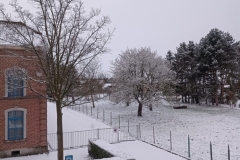 IMG_20210407_072950