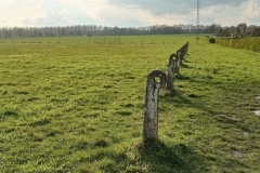 IMG_20210412_183734