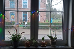 IMG_20201212_092831_899