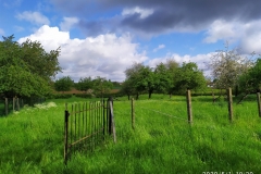 IMG_20200501_102010